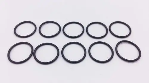 Zehn schwarze O-Ringe auf weißem Hintergrund, geeignet für verschiedene Anwendungen, möglicherweise kompatibel mit Remeha-Produkten.